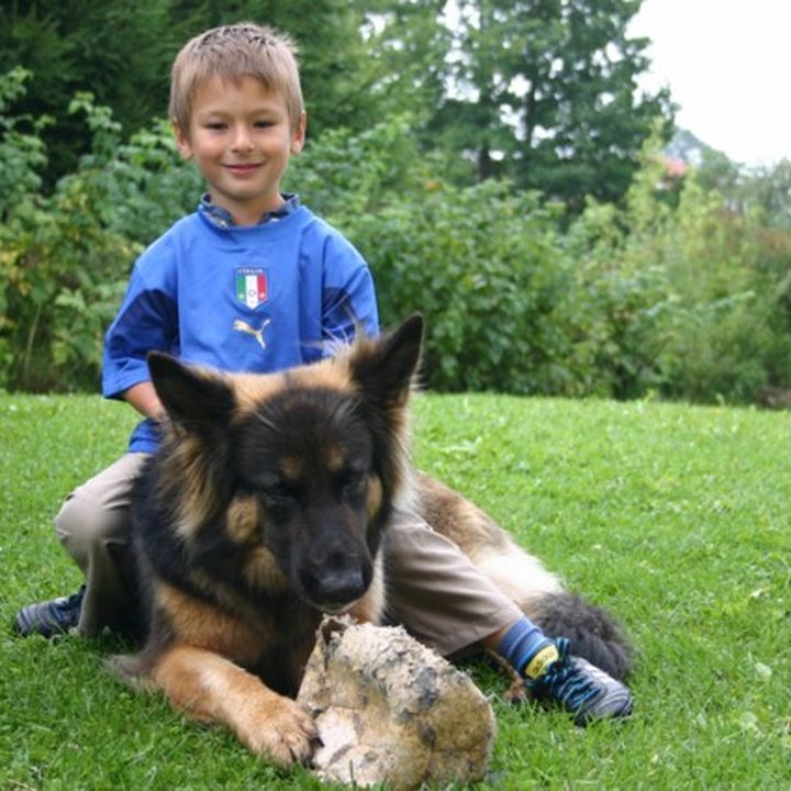 Kind liegt mit einem Schäferhund im Gras